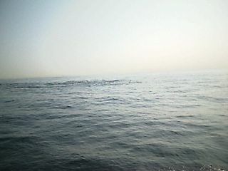 クジラ２