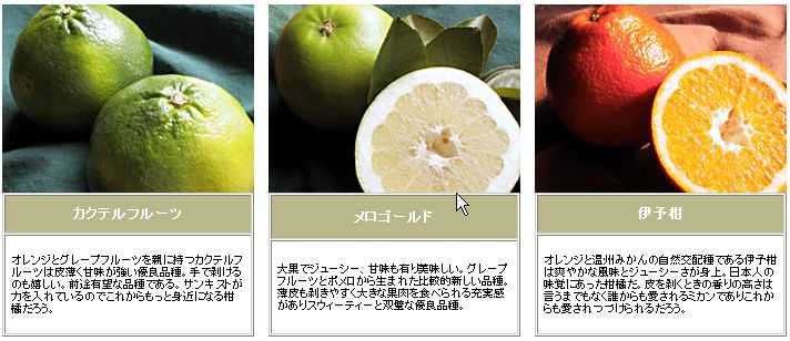 みかんの仲間たち 柑橘系いろいろ みかんのおとぼけ暴露homepage 楽天ブログ