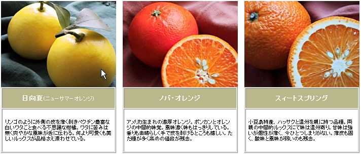 みかんの仲間たち 柑橘系いろいろ みかんのおとぼけ暴露homepage 楽天ブログ