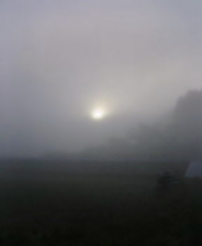 霧の中の日の出