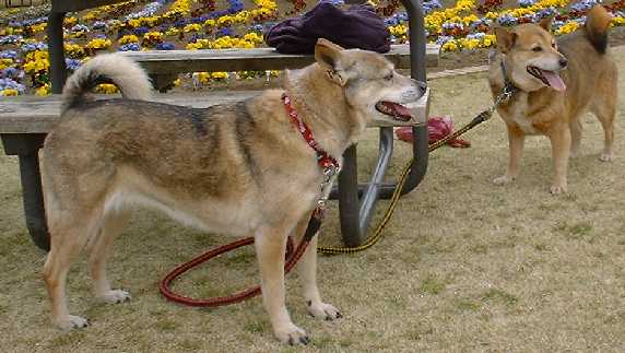 昭和の森公園で