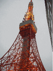 夕暮れの東京タワーを見上げて...
