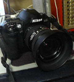 Nikon D100_1