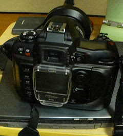 Nikon D100_2