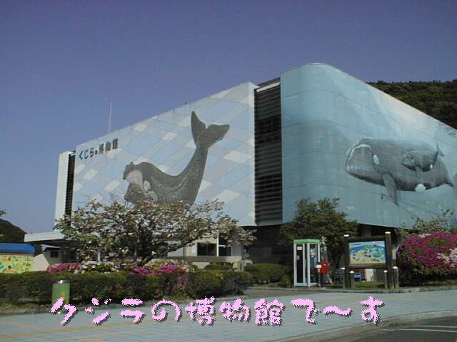 クジラ博物館