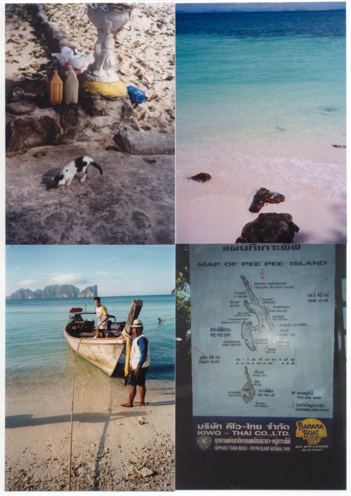 2000年のピピ島：1