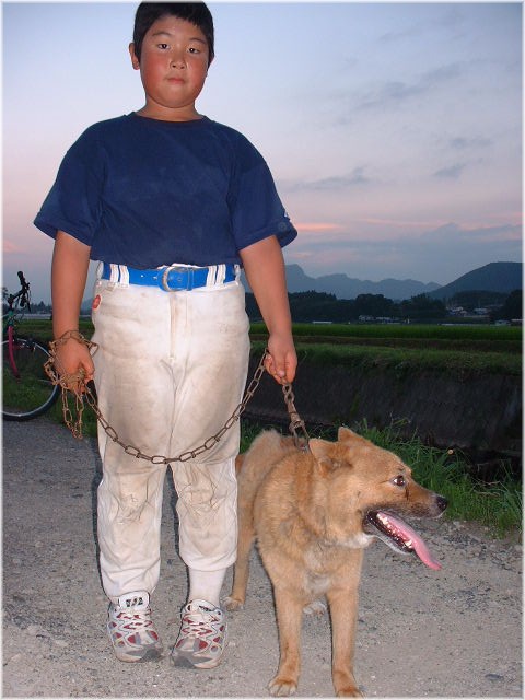 野球部少年と犬のお散歩