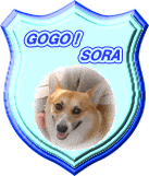 GOGO!SORA2
