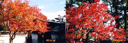 京都１