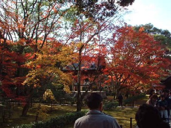 金閣寺2