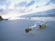 Bottle&beach