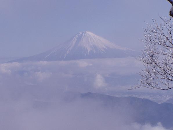 青笹山から富士山