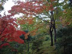 天龍寺