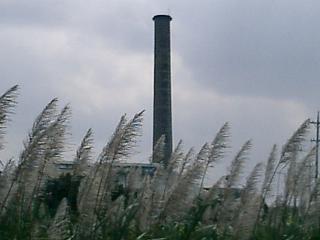 きび畑と製糖工場の煙突