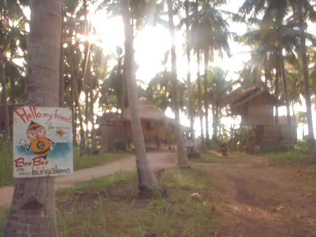 椰子の木に囲まれたビービ－バンガロー