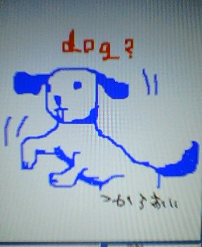 This is a dog?