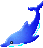 Dolphin blue big