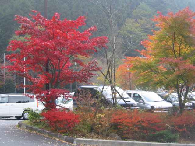 red leaf3 tomin-no-mori parking