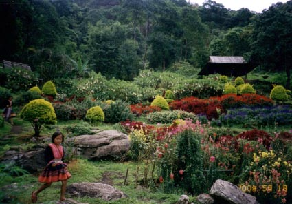 タイ北部　メオ族の村