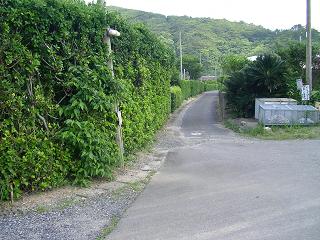 島の道