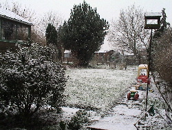 庭の雪2005年版