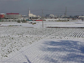雪景色１