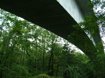 湿原を極力守って建てた高速道路の陸橋