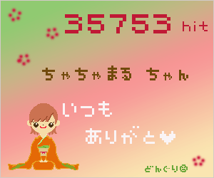 どんぐりちゃん３５７５３