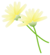 黄色い花（小）.