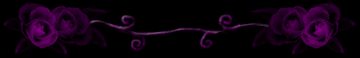 紫バラのライン