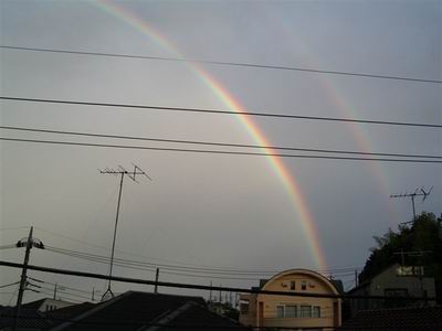 虹６