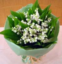 ５月の誕生花と花言葉 もっと素敵にマイライフ インテリア コーディネート アジアン家具 キッチン雑貨 フラワーギフト 楽天ブログ