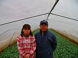 小松菜栽培農家