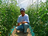 トマト栽培農家
