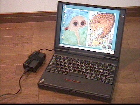 ThinkPad310E(2600-F0J)