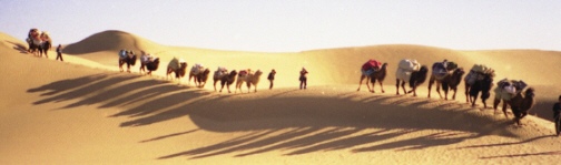 沙丘を進む駱駝