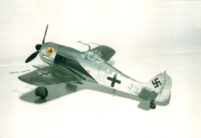Fw-190A8N①
