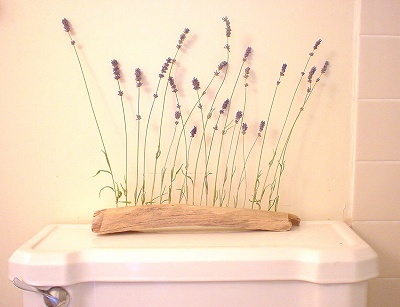 トイレの花