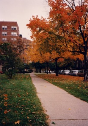 Evanston19892