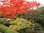 輪王寺逍遙園