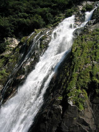 屋久島旅日記　大川の滝　2